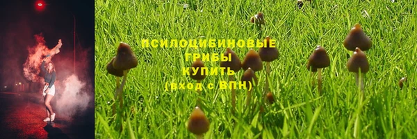 спайс Алексеевка
