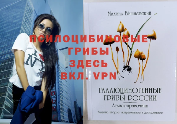 ешки Михайловск