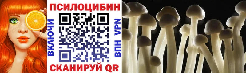 Галлюциногенные грибы прущие грибы  Краснообск 